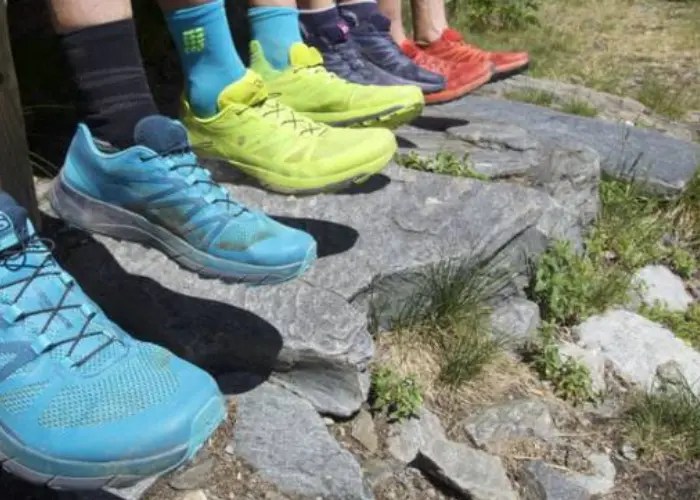 Can you put Hoka Shoes in the Dryer? Edon Manor