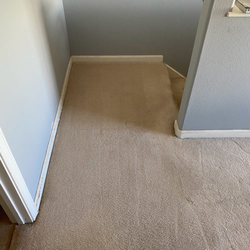 TopNotch Carpet and Rug Cleaning Services in Hawaii