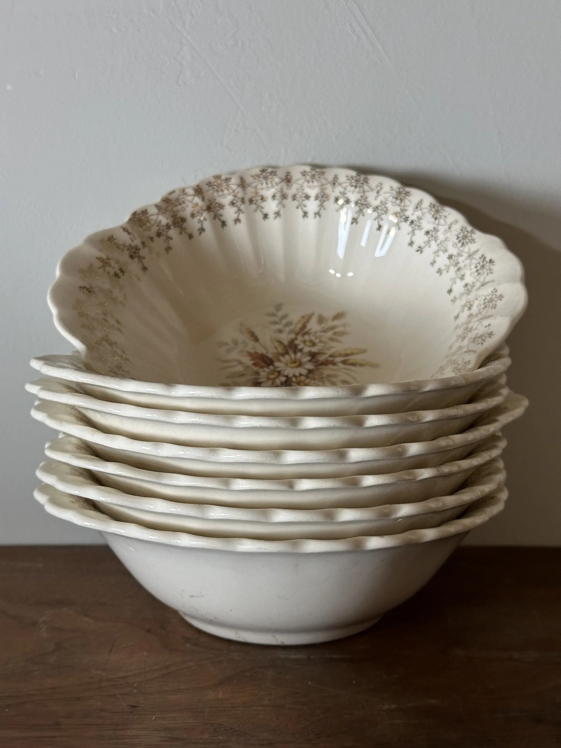 Seven Sundale Bowls by Limoges American Edsel & Iris