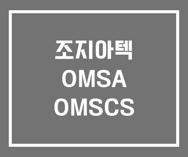 조지아텍 OMSA OMSCS