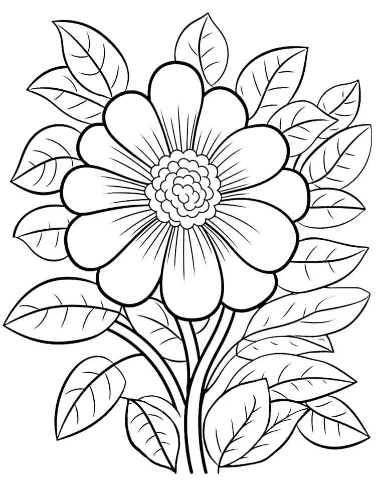 flores para colorir (4) Educarolando Aprender brincando