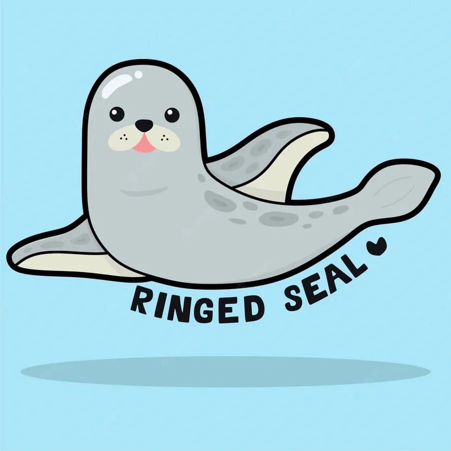 ringed seal Educarolando Aprender brincando