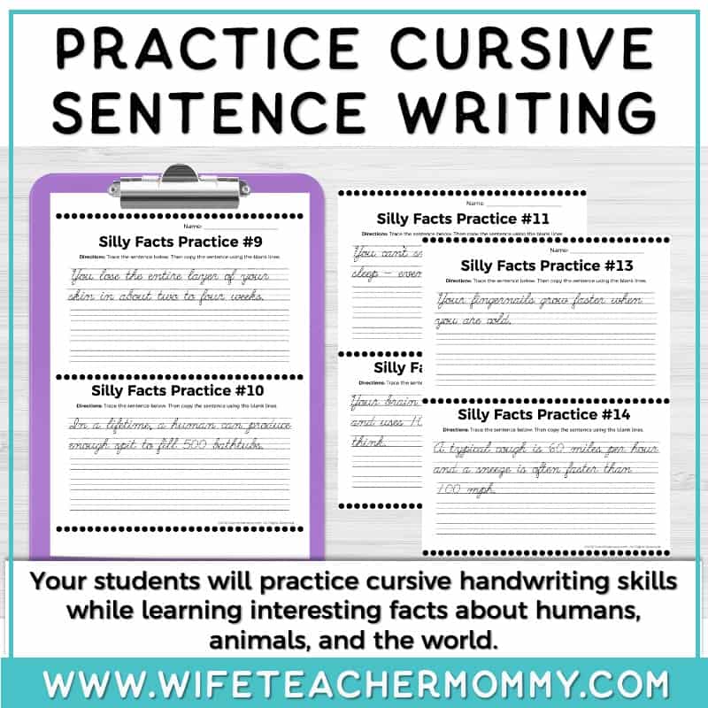 Handwriting Practice Silly Facts Cursive Sentences Educate & Rejuvenate