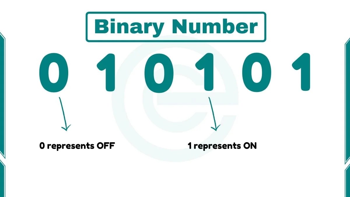 Why Computers Use Binary Number System