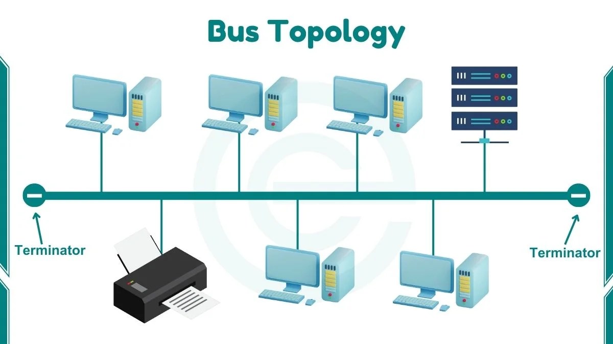 What is Bus Topology Examples, Characteristics and Working