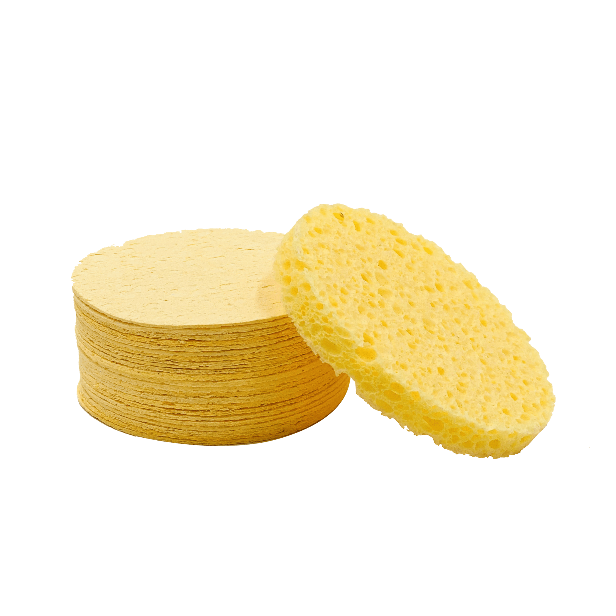 Sponges (24 pack) Educate Your Skin