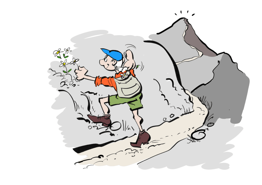 Curriculum mapping - Educational Design by S