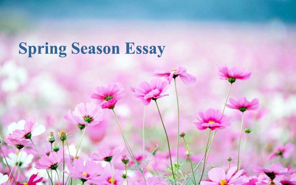 Spring Season Essay For All Class Students Educationbd