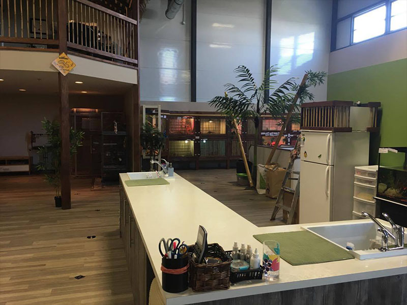 Albums Educazoo Inc Albums Éducazoo Animation d'animaux