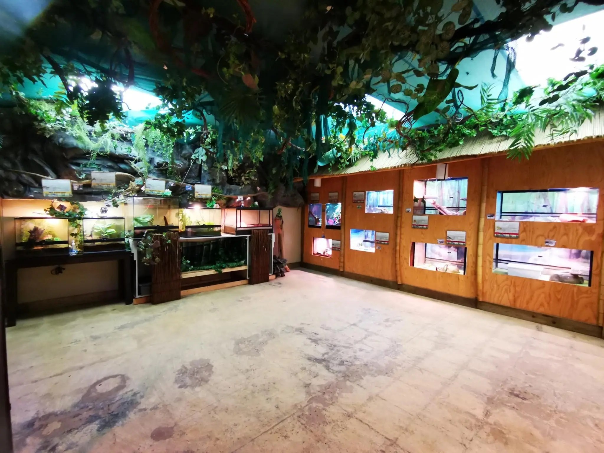 Refuge Ville de Québec Éducazoo