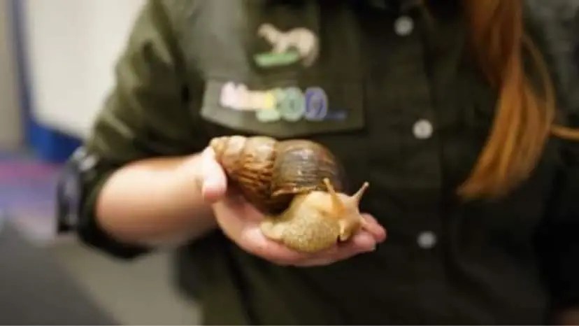 Refuge ville de Québec Éducazoo
