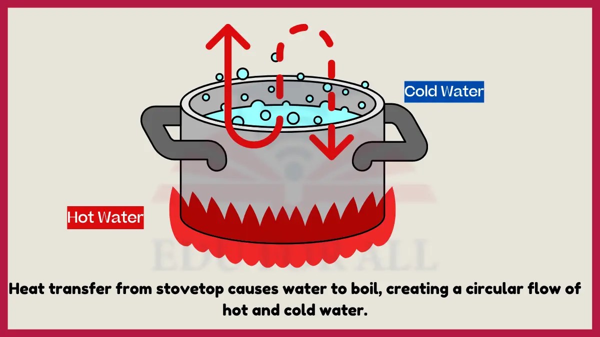 19 Examples of Convection