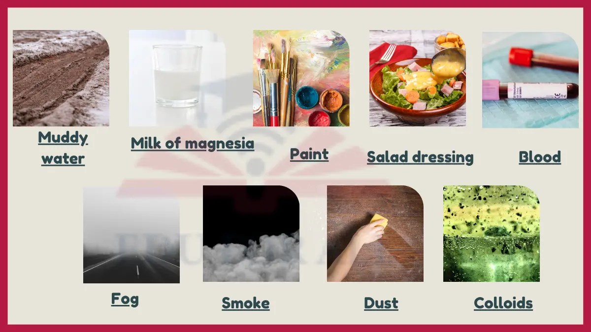 10 Examples of Suspension