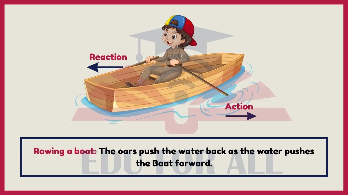 15 Real World Examples of Newton's Third Law