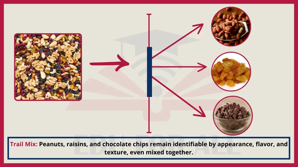 24 Fact Checked Examples of Heterogenous Mixtures & their Components (with Pictures)