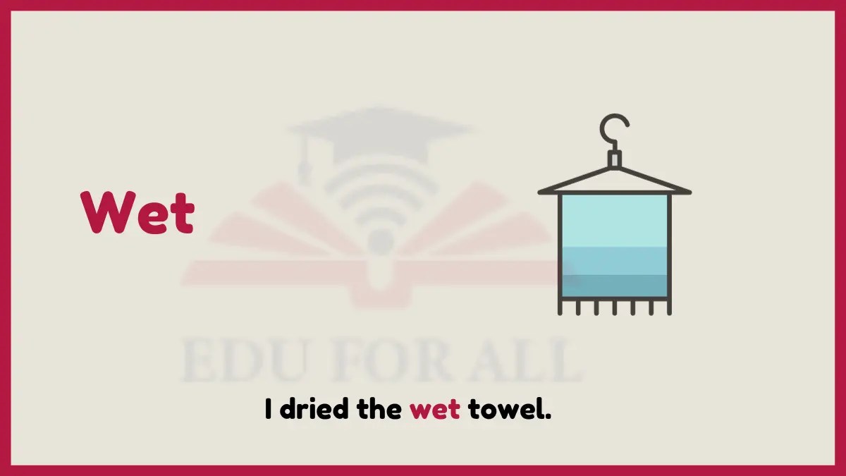 50 Examples of Adjective