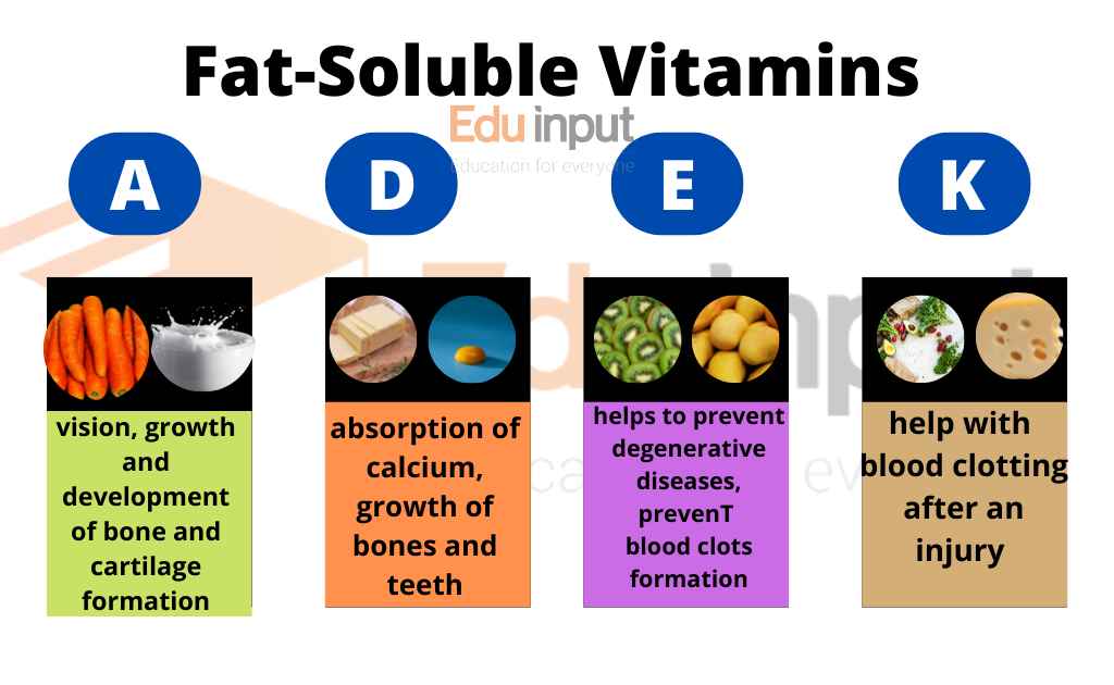 What are FatSoluble Vitamins? Types, Sources and Functions