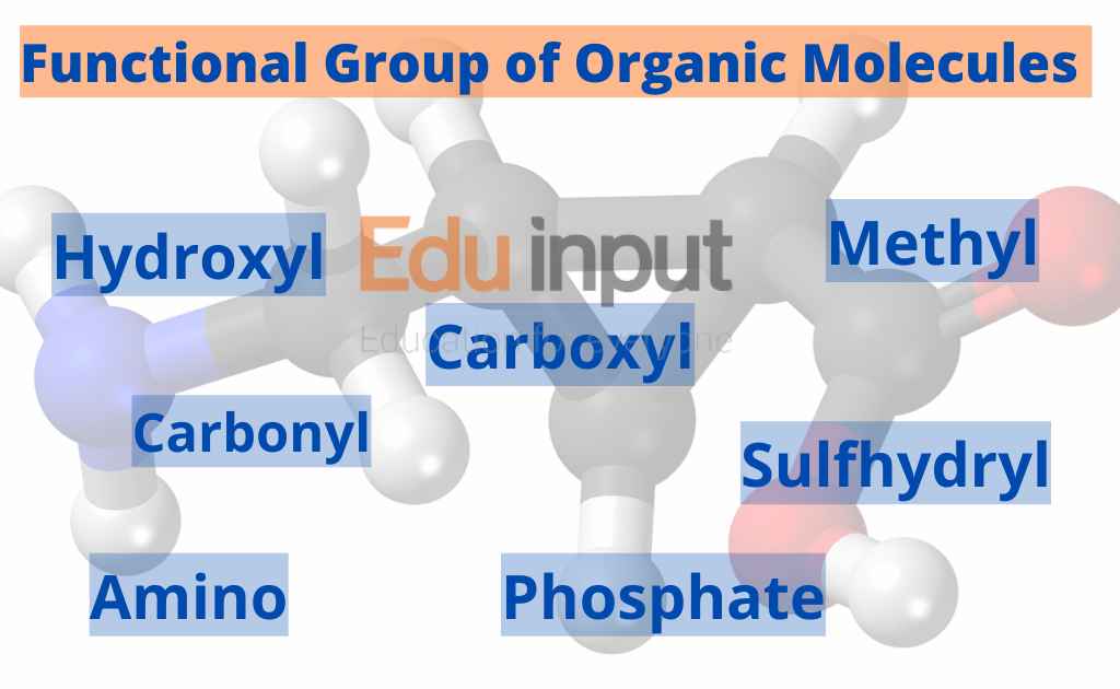 What are Organic Molecules? Properties of Organic Molecules