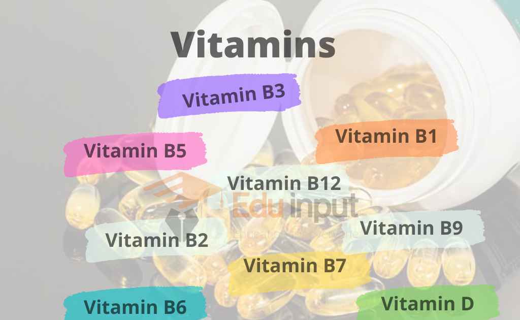 What Are Vitamins? Characteristics and Classification