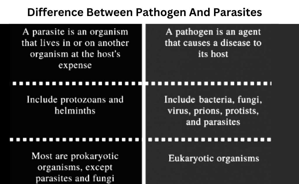 Difference Between Pathogen And Parasites