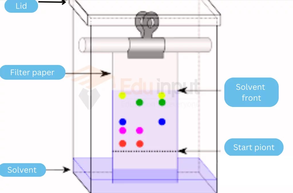 Can Homogeneous Mixtures be separated by Filtration?