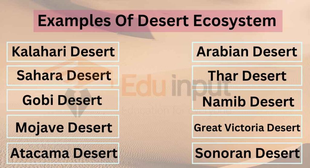 Desert EcosystemCharacteristics, Composition, Types, Factors