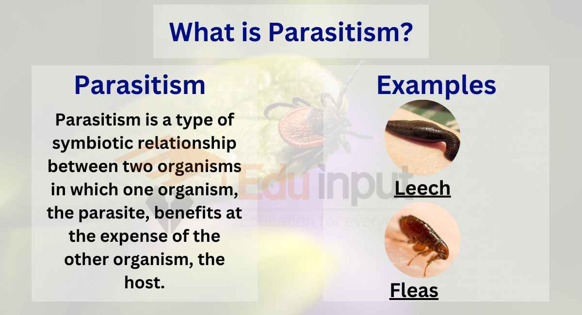 Parasitism Evolution, Types, Principle, and Examples of Parasitism