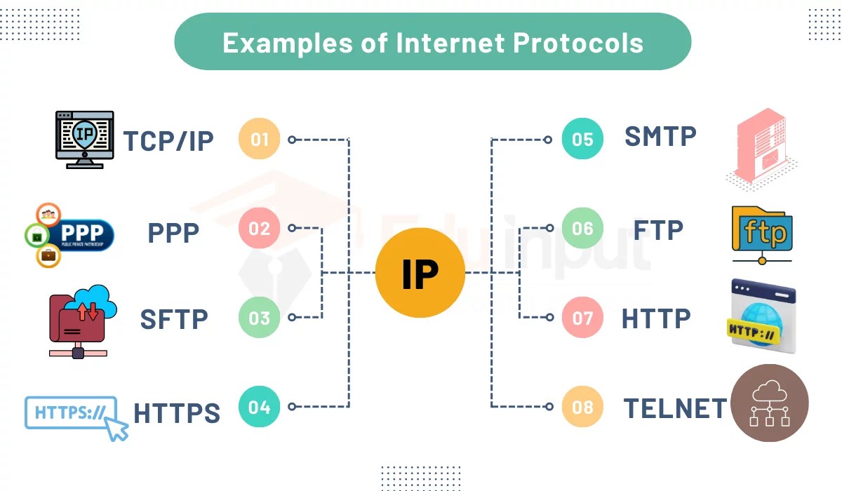 Essential Network Protocols You Need to Know Prime One Community