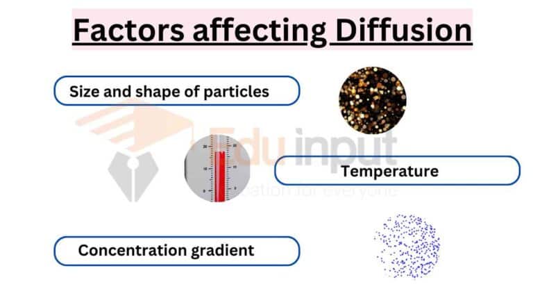 Diffusion Explained - Types, Examples and Factors