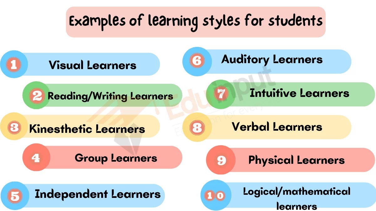 14 Examples of learning styles for students
