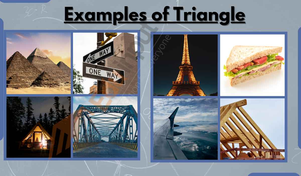 10 Examples of Triangles in Real Life