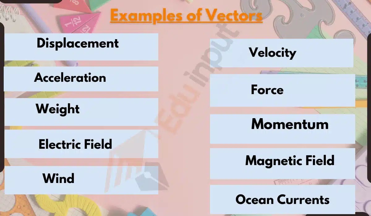 10 Examples of Vectors