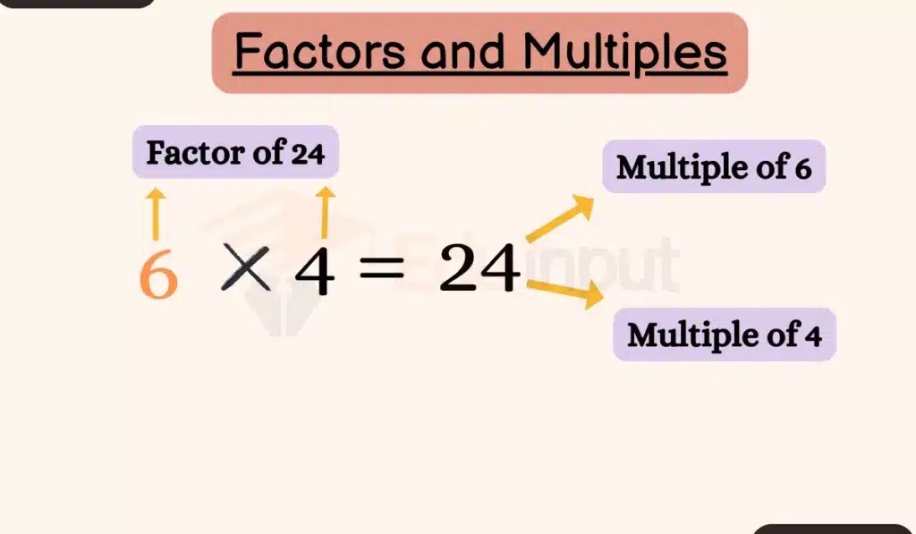 Difference Between Factors and Multiples