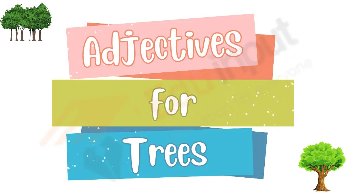 Adjectives for Trees