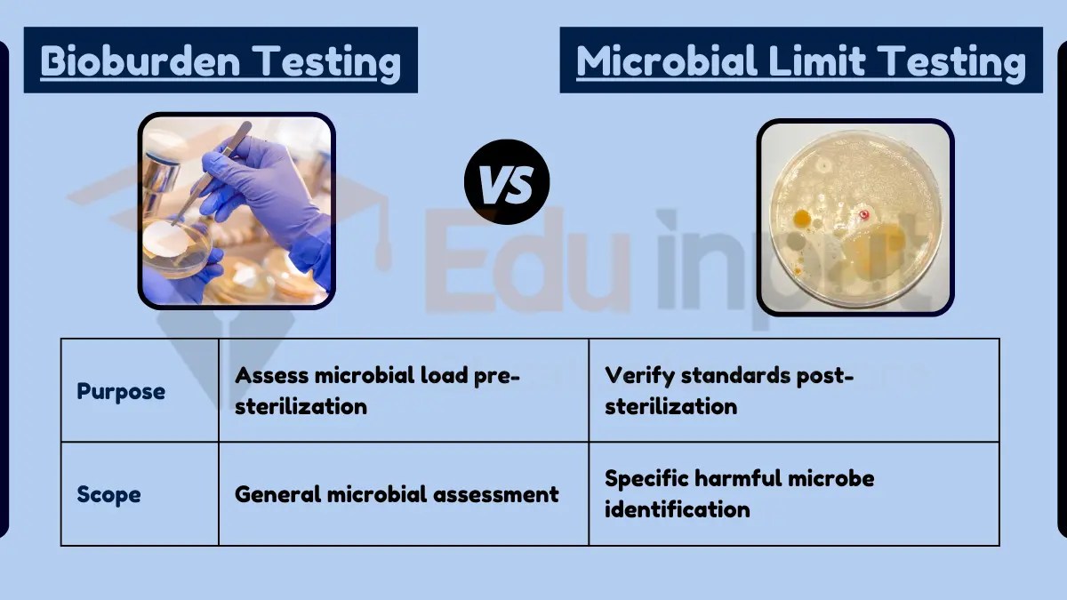 What is the Difference Between Bioburden and Microbial Limit Test?