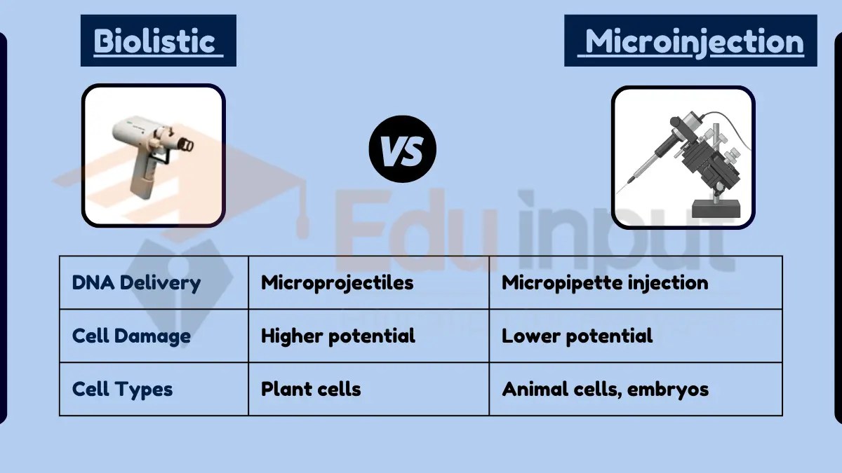 Difference Between Biolistic and Microinjection