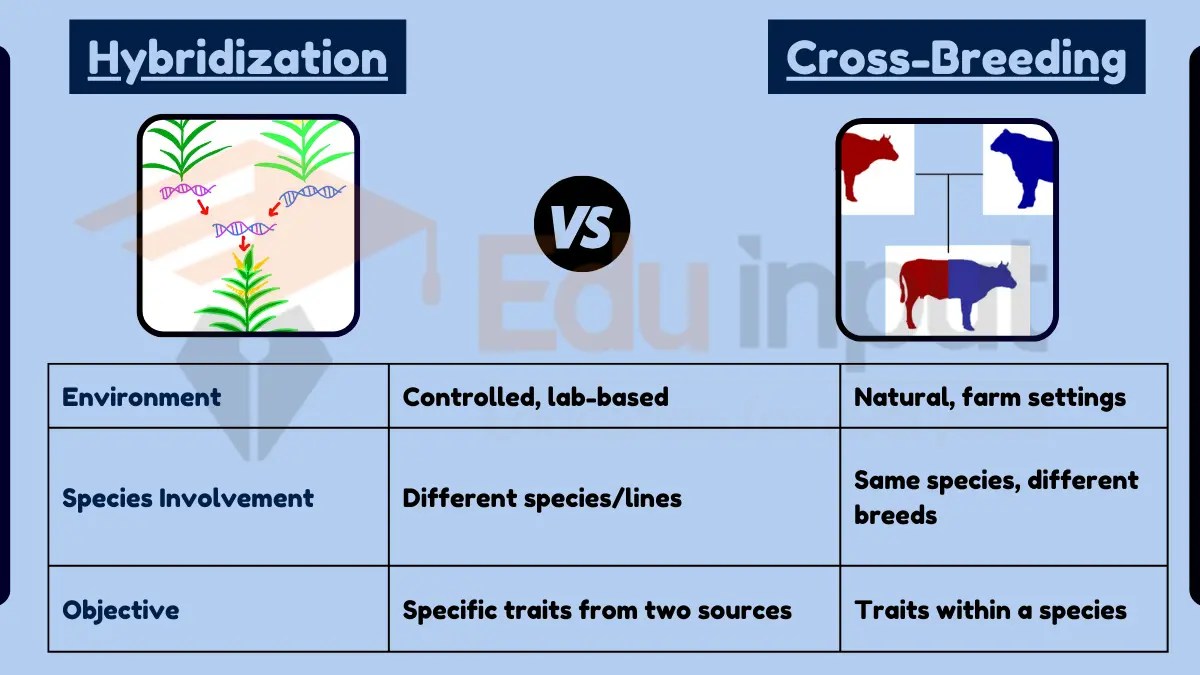 Difference Between Hybridization and CrossBreeding
