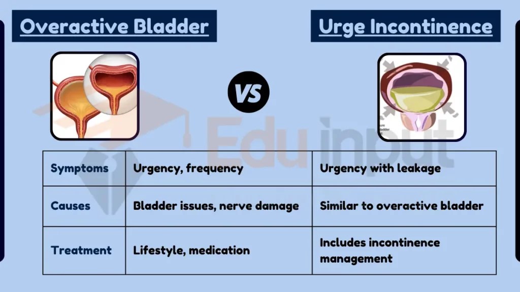 What is the Difference Between Overactive Bladder and Urge Incontinence?