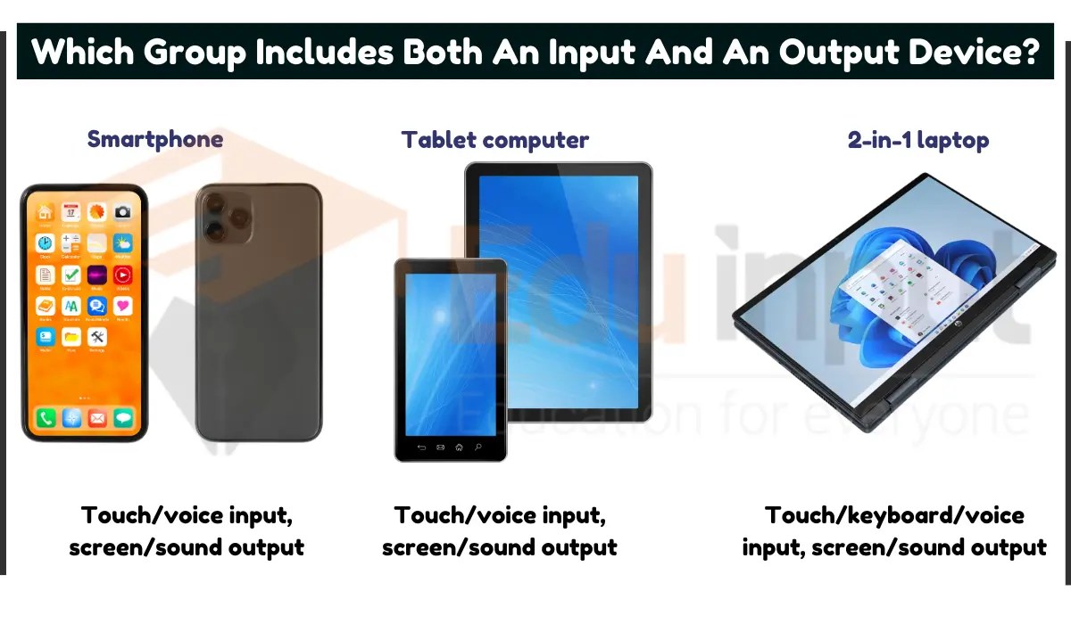 Which Group Includes Both An Input And An Output Device?