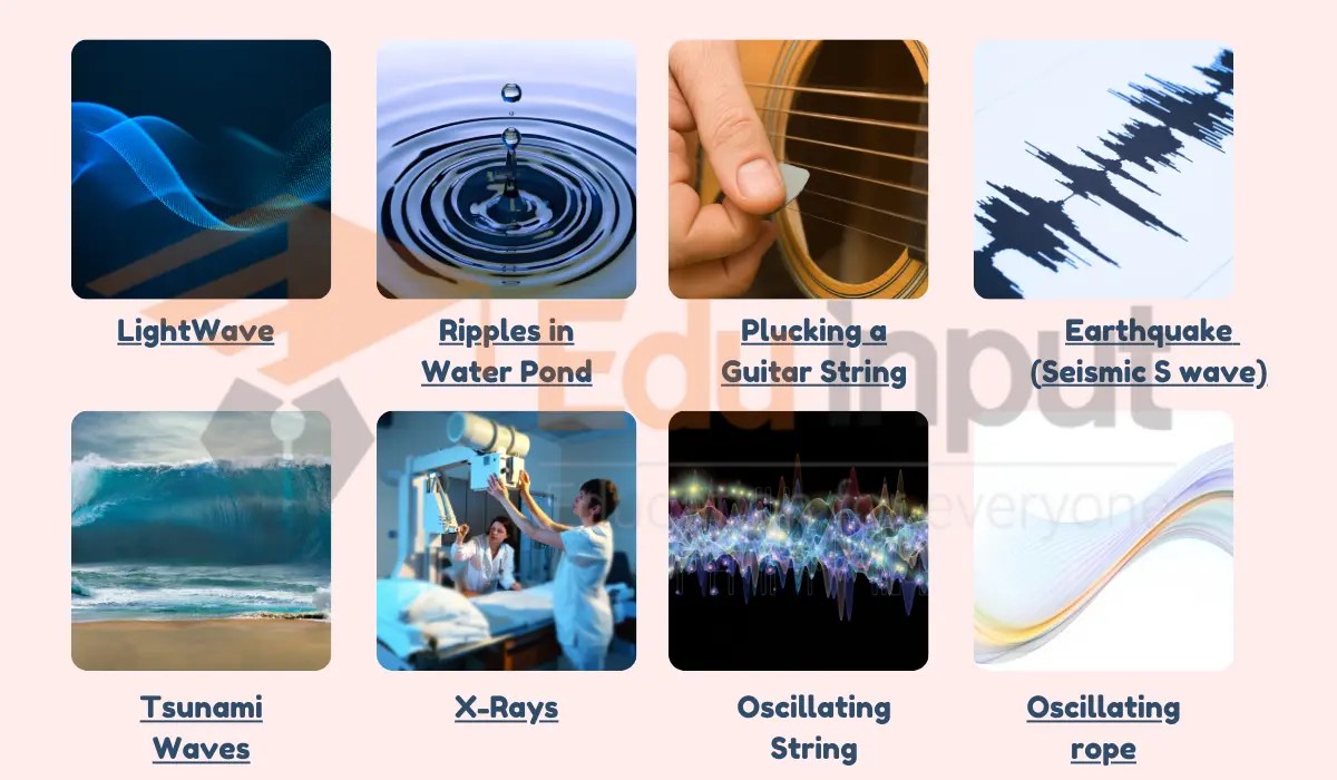 7 Real Life Examples of transverse waves