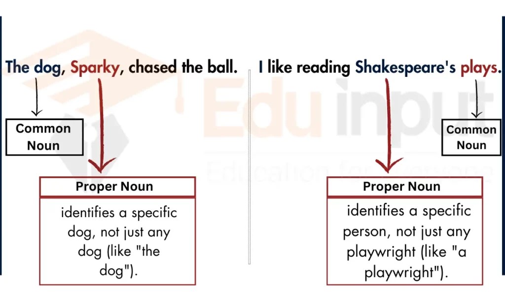 Proper Noun-Rules, Types, Usage, and Examples
