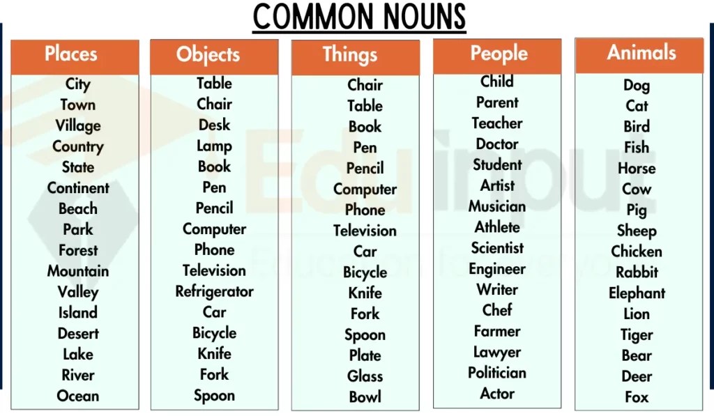 Common Noun Definition, Features, Types, Examples, and Usage in