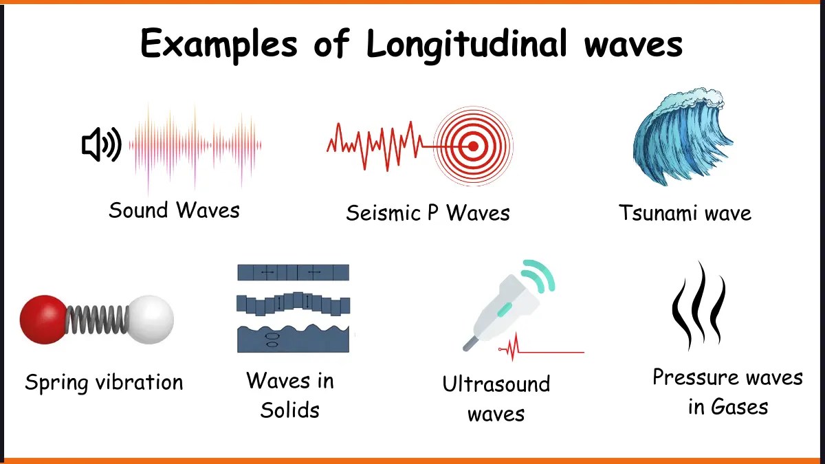 7 Real Life Examples of Longitudinal Waves