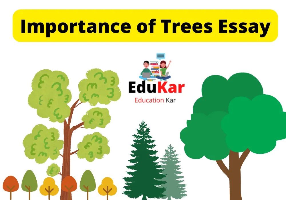 Importance of Trees Essay in English for Class 4th,5th,6th,7th,8th,9th