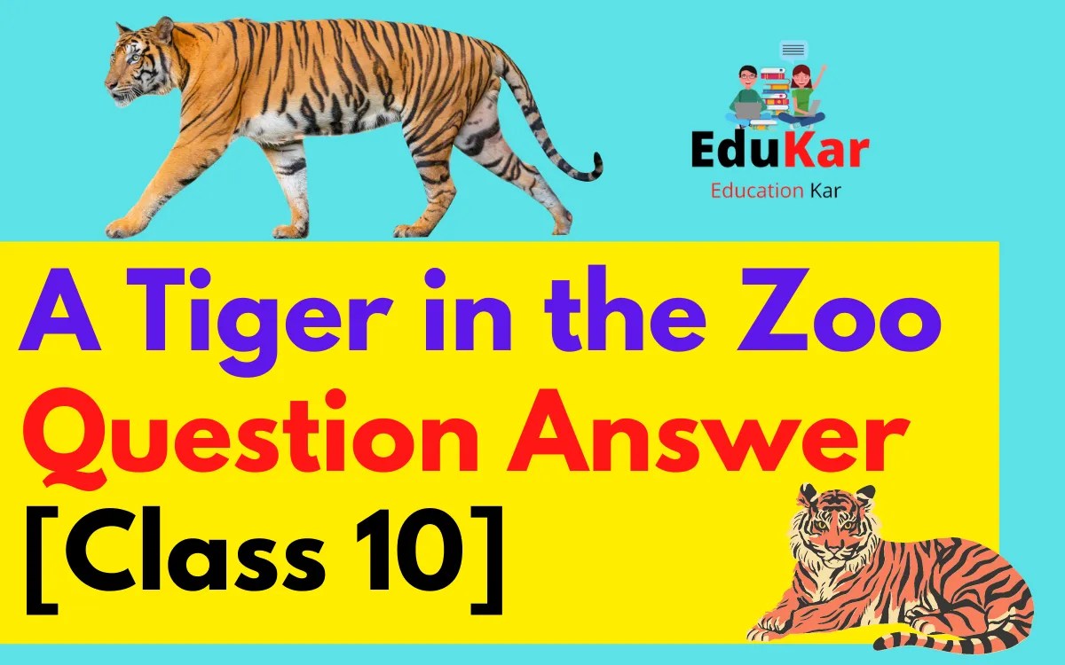 A Tiger in the Zoo Question Answer [Class 10] Edukar India