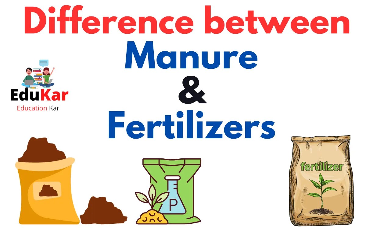 Difference Between Manure and Fertilizers Edukar India