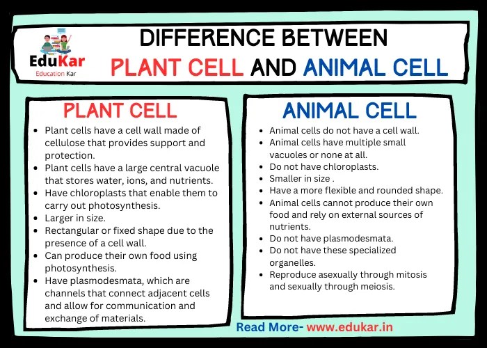 Difference between Plant Cell and Animal Cell Edukar India