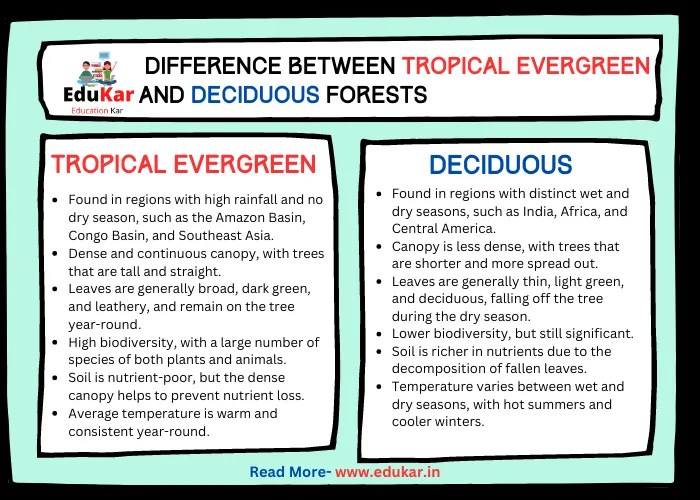 Difference between Tropical Evergreen and Deciduous Forest Edukar India
