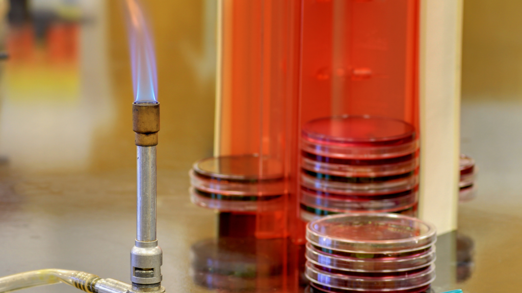 The Bunsen Burner What Is It & How To Use It Safely Edulab