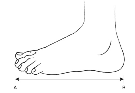 Understanding Shoe Sizing Charts: Finding The Perfect Fit For Your Feet
